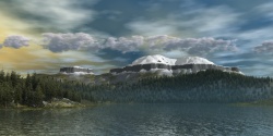 Coniferous forest on the coast