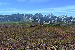 Stony Hills