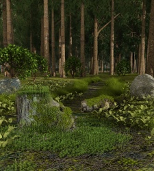 Sunny glade 2