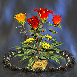 Flowers in Pot
