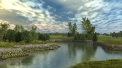 Pond