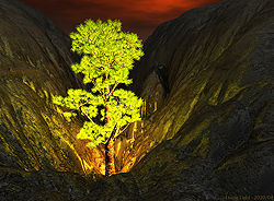 Living Light