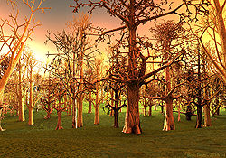 Bare Trees