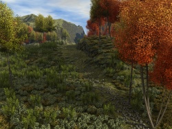 Stony track