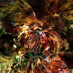 Plumes