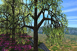 Fertile Vale