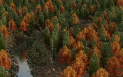 River bend