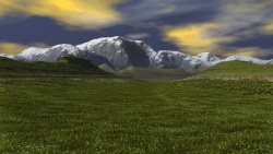 Blooming valley