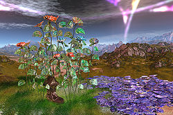 Dream Flowers