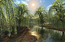 Willow Creek
