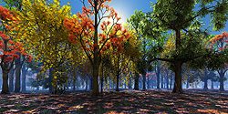 Woodland