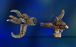 Rock Tentacles