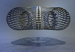 Torus Cage