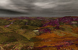 Moor in Rain