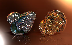 Shells of Colour