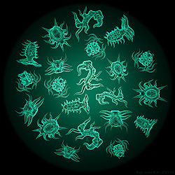 Bugs under SEM