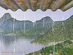 Shelter