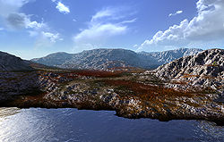 Hills and Moor