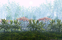 Morning Fog