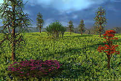 Gtassland