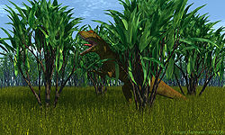 Hungry Carnivore