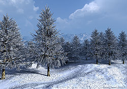 Snowy Trees