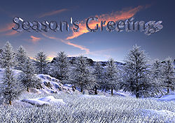 Season's Greetings 2022