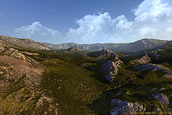 Rocks and Meadow