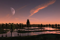 Swamp at Evening