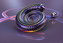 Ammonite Shell