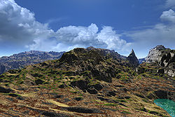 Needle and Cleft