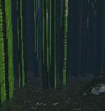 The Stagnant Swamp
