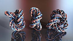Knotty Loops