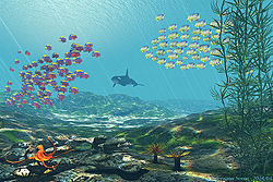 Underwater Scene