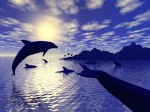 dolphin island