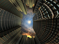 Looking up in City