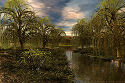 Willows at Creek