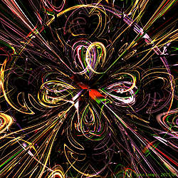 Torus Loops