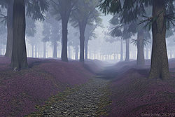 Forest in Fog