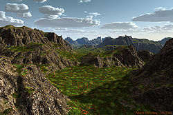 Alpine Meadow