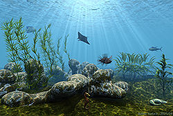 Below Surface