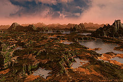 Swampy Land