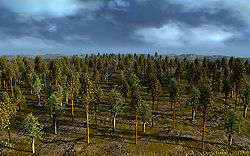 Open Forest