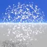 snow