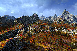 Rocks and Crevices
