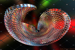 Cubical Torus