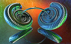 Pair of Ammonites
