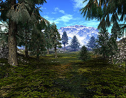 Alpine Open Wood