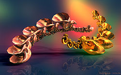 Shell Spirals