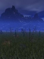 Marsh